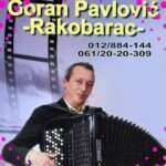 Goran Pavlović Rakobarac harmonikaš