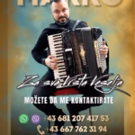 Marko Nedeljković harmonikaš