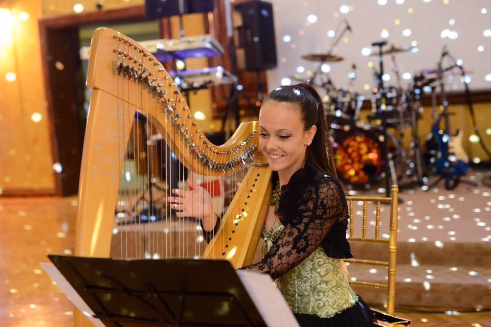 Željka Milošević: Harfa, frekvencije i sloboda